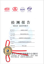 GZDW□-100AH/220V檢驗(yàn)報告